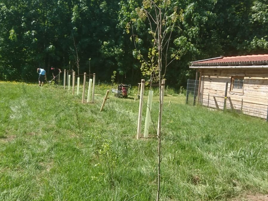 Projekt 12